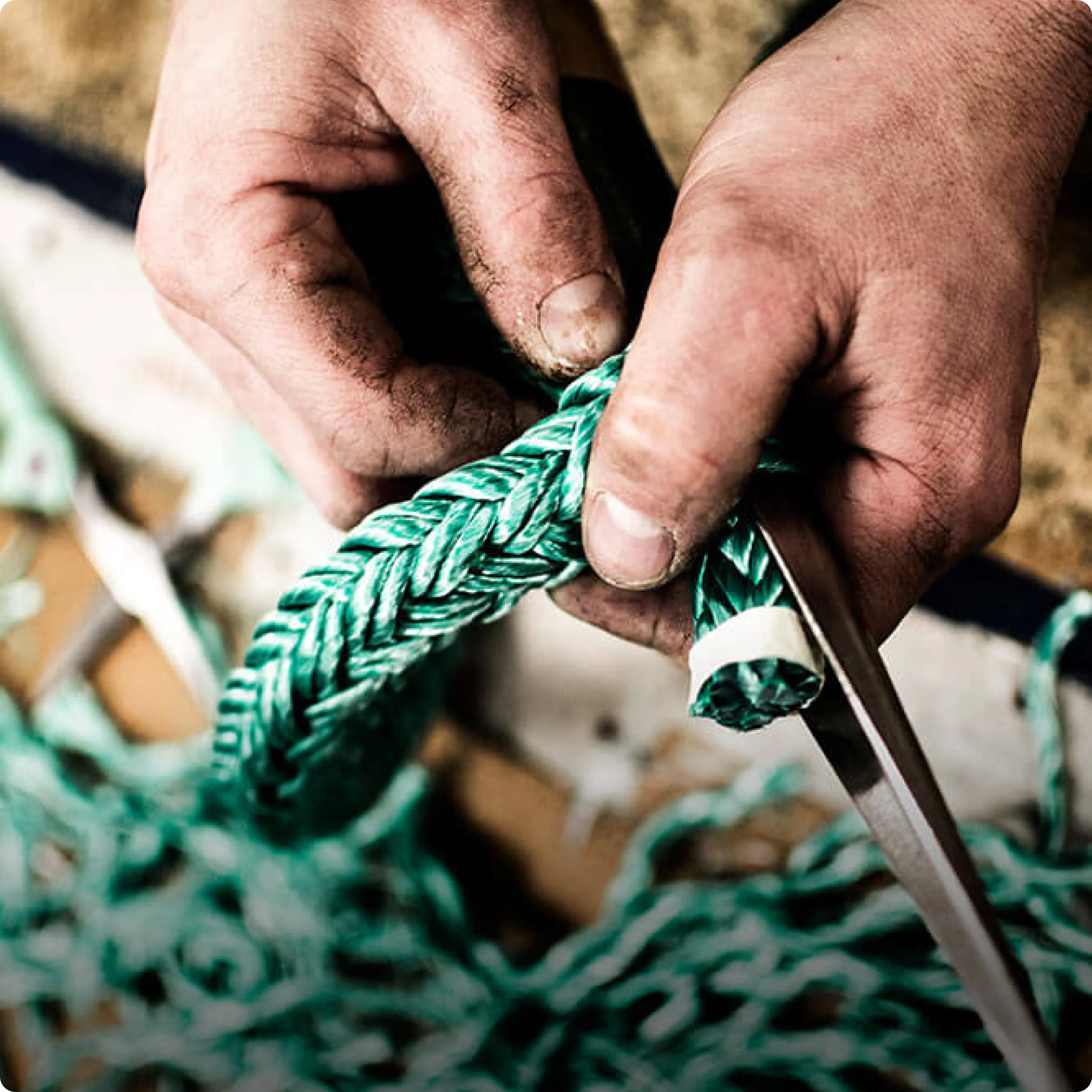 Rope Logic Smart PPE